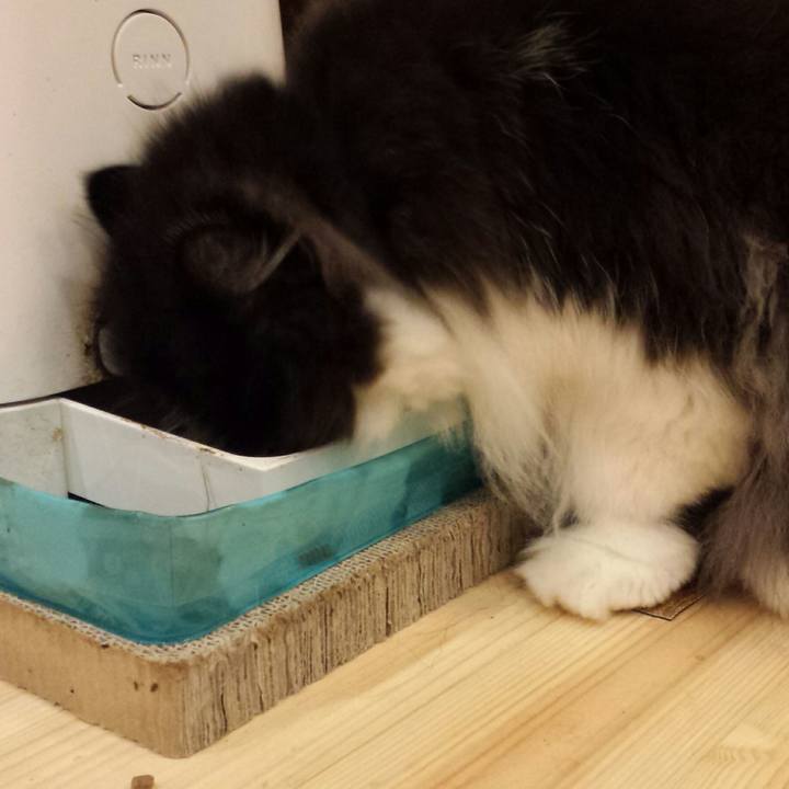 Dd26ec00 e223 4462 afdf d62fb911bb1f