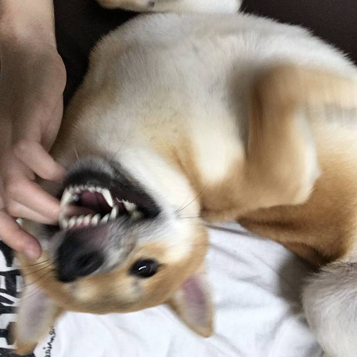 Dd274967 07f0 4c03 b1de 27a897d77710