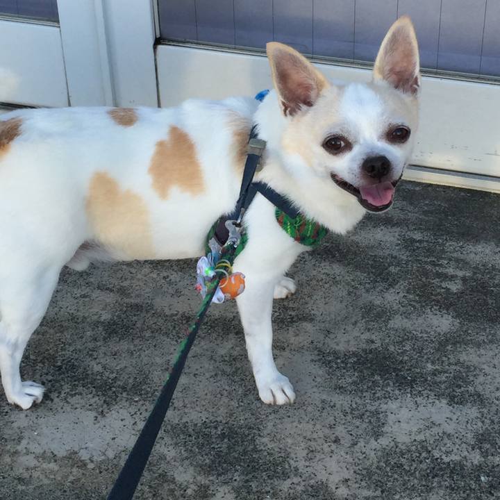 Dd27c7df 9a07 4a5c ac8b 5c9ebf08fcd9