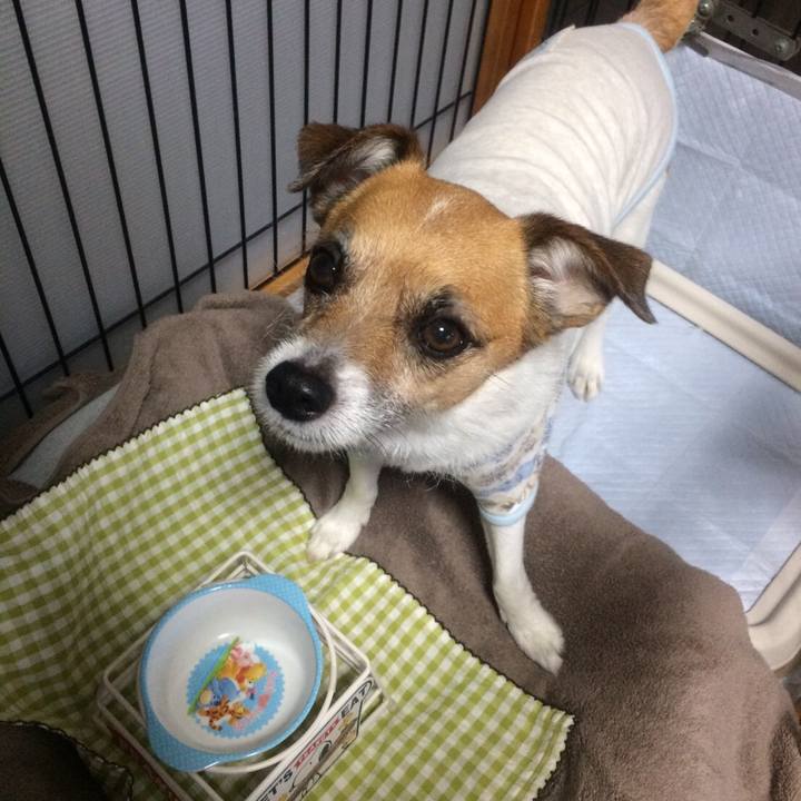 Dd280b14 a587 49ed 91e1 c75dbe7b5d22