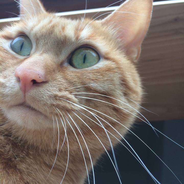 Dd282333 e7be 4f8c a300 dd475f0e083b