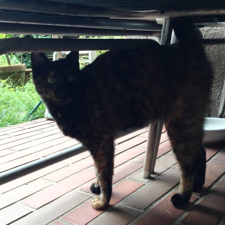 Dd2855f7 fefa 4f46 b5ac d0043ca85218