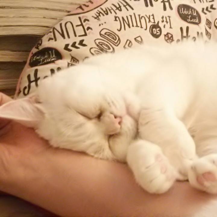 Dd28b317 fa4d 4a52 ae91 9ac099641d5a