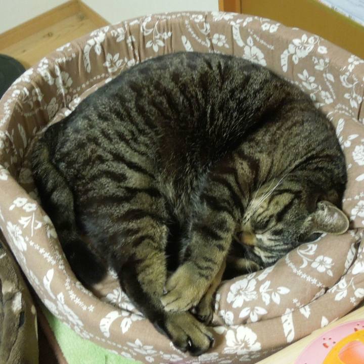 Dd28cca9 4135 4534 9b43 f77fe910c240