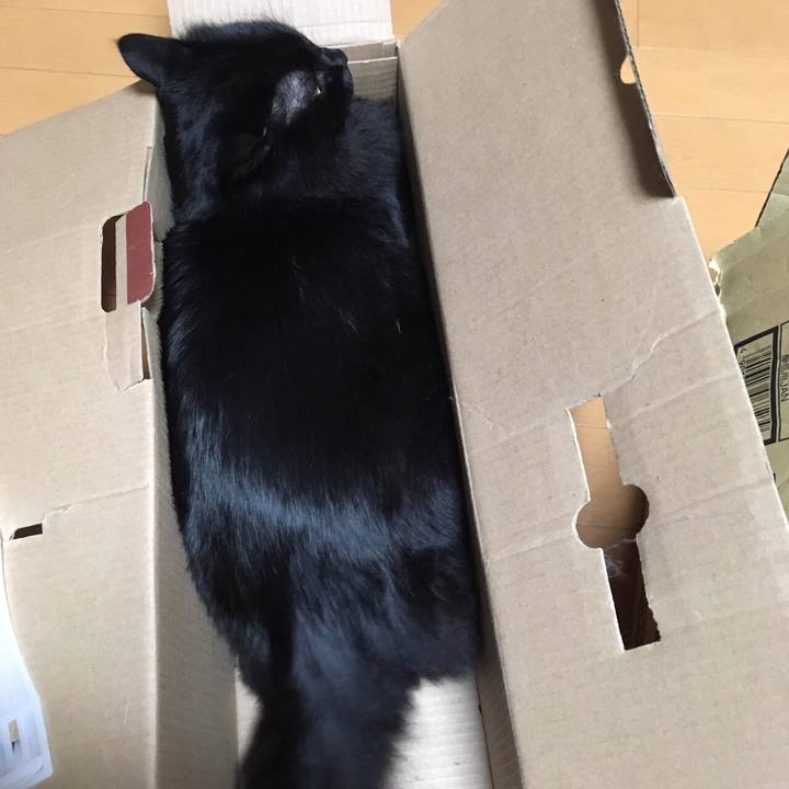 Dd2909bc a665 4381 9f57 708b65b8eded