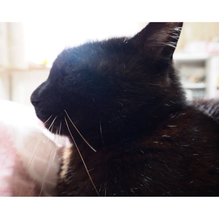 Dd294b4e 3753 4b52 a30b f97f925f42a8