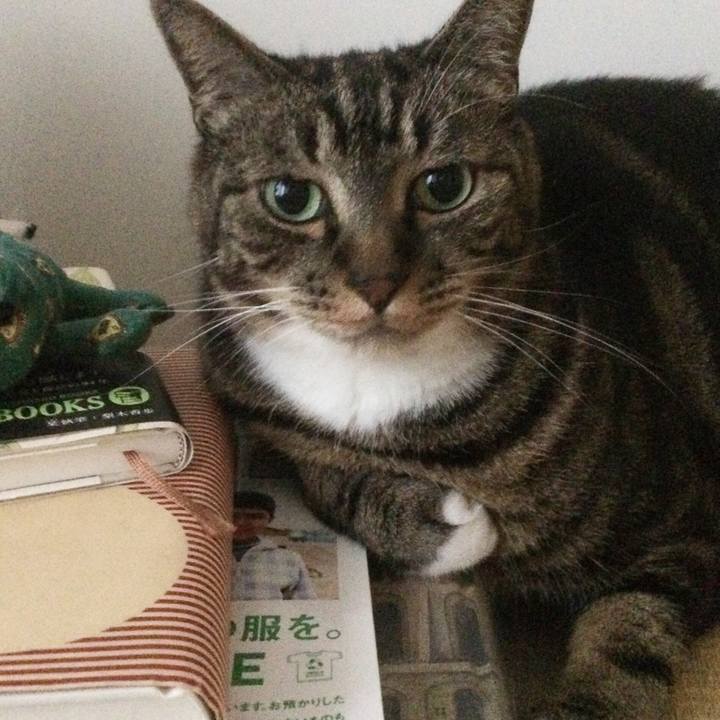 Dd295e41 4593 4aa2 8ae9 a5b498bd7faf