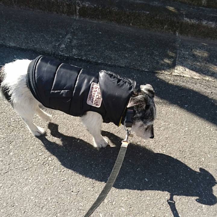 Dd296d67 a6a7 4ed4 b450 b94b0a759d30