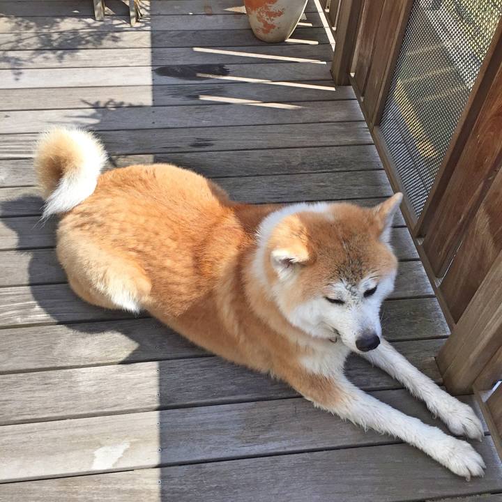 Dd29b3ae 9b9d 402e a10e abfea224f2b0