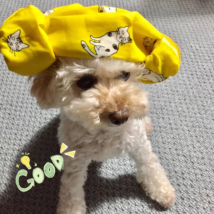 Dd29da7c 1567 4c3b 89e1 191c5433ae9c