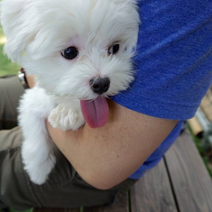 Dd2a8a13 bd65 4692 85f4 f668946ec85c