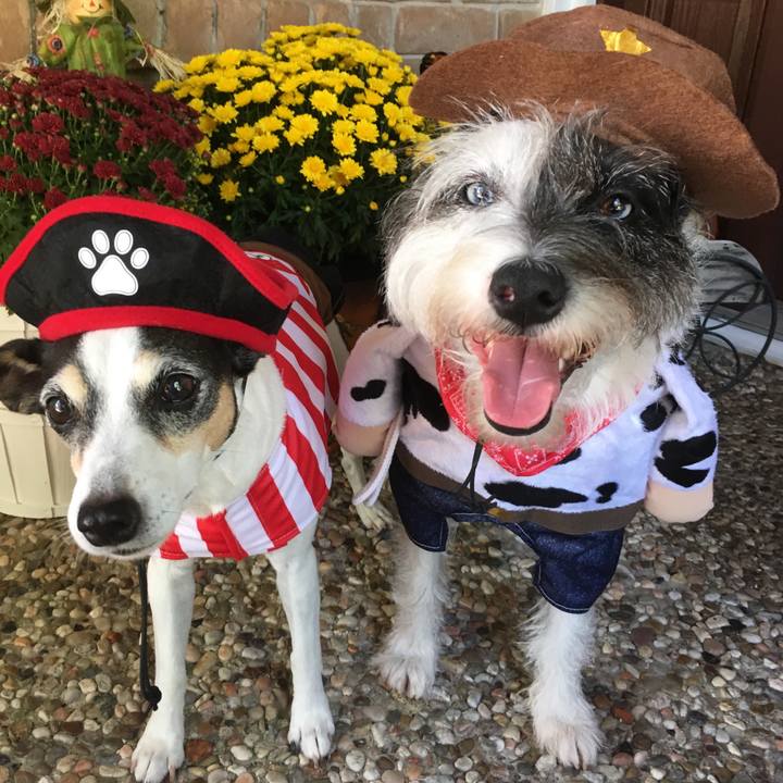 Dd2a95ba 0bc3 4640 afd8 0f6b2bc3ec1e