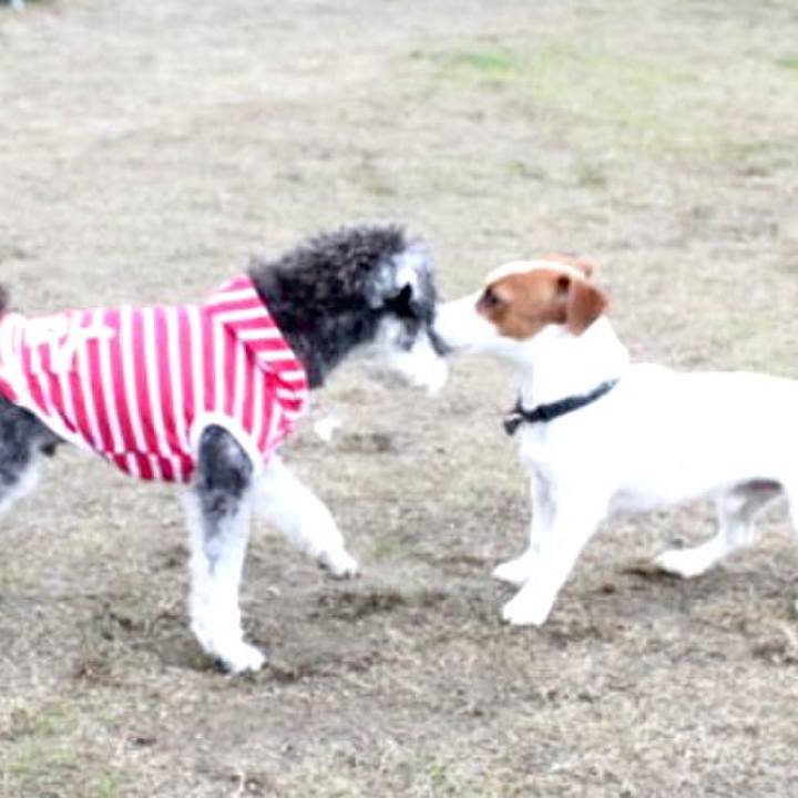 Dd2b7153 a25e 4b5c 9161 97ac8d6570dd