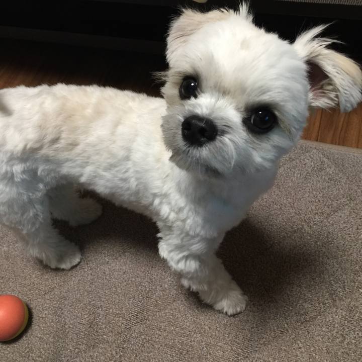 Dd2bb378 64a6 4301 a0fd e196668490e9