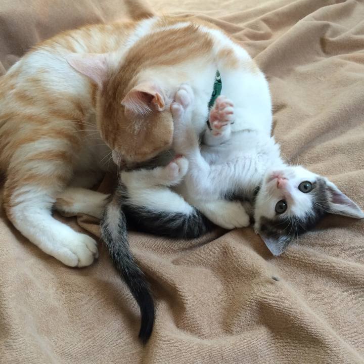 Dd2be043 135e 41fb 81fb 96546865ed1a