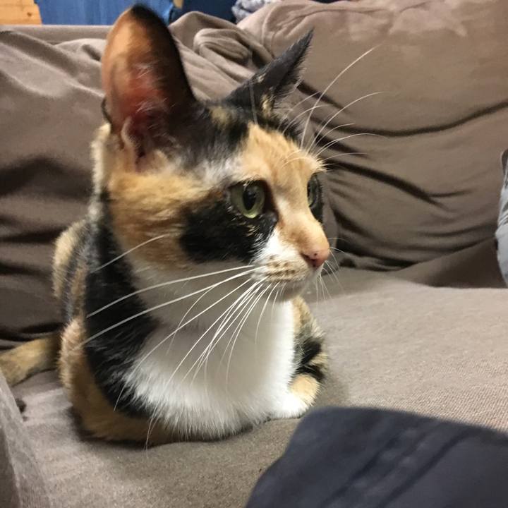 Dd2c9564 95a2 477f 94ed 570395de7a5c