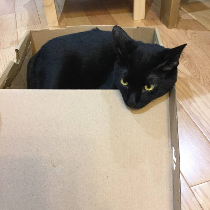 Dd2d11f5 eb60 4aca a2ae 92bf53758ab3