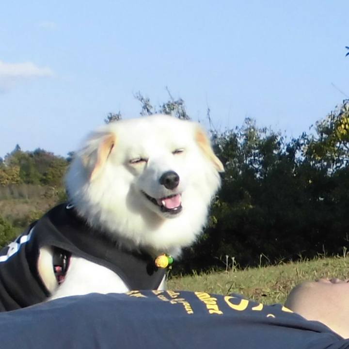 Dd2d1e7e f520 4dd4 8a81 8ea08e86cddf