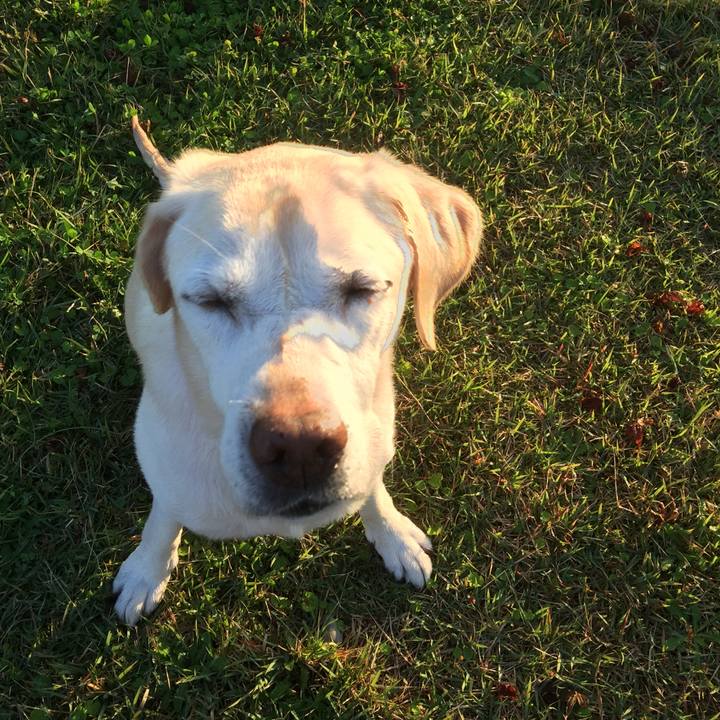 Dd2d33aa 2ca4 4ff4 801f a90144b5d032