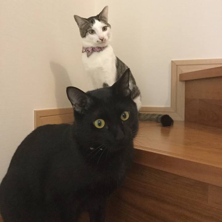 Dd2d48f9 342b 45ab 88c3 9d1880a381e8