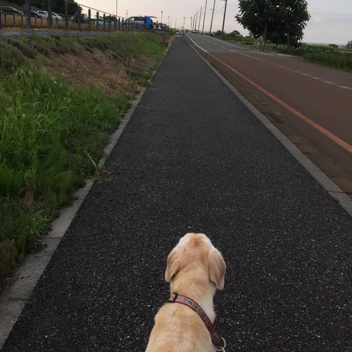 Dd2d65d5 bf87 4fe5 834c 2927ae3d39aa