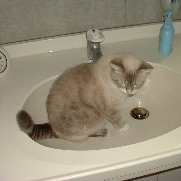 Dd2d8c20 5a04 4683 adf5 5f0716c66bfa