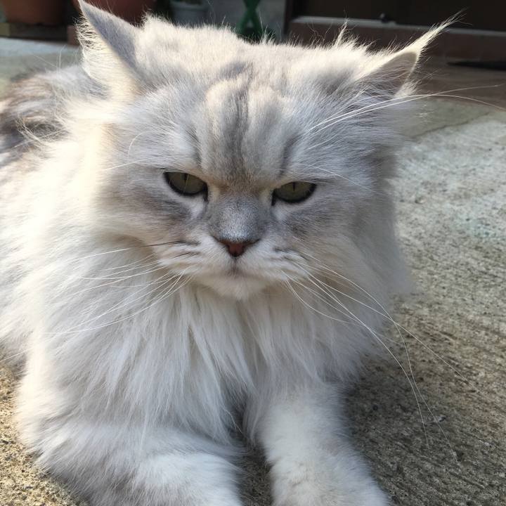 Dd2e4917 2bf2 4c25 bd63 d3daf311a1e5