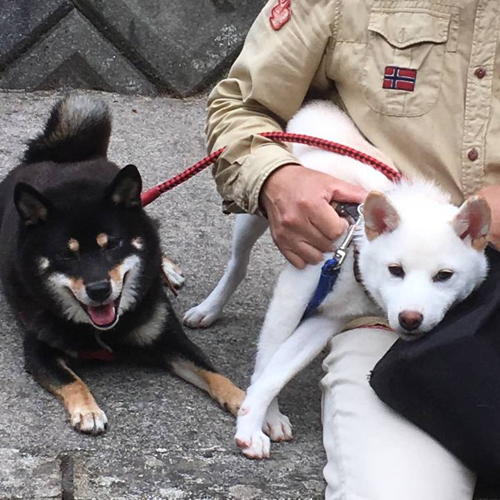 Dd2e5e1f 79dc 45e2 8538 de610f0f6f92