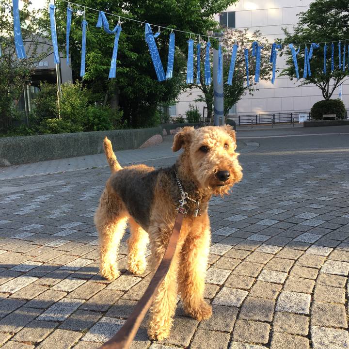 Dd2ece67 3b22 4257 adf2 2b56e61baeb5