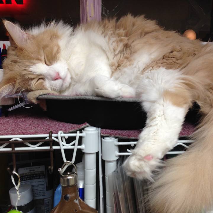 Dd2ed7fe 9e8d 4c3a a419 2ebff0aaddc1