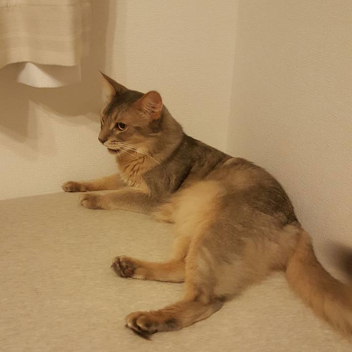 Dd2f7539 7fc9 43b2 b023 8c804b66c499