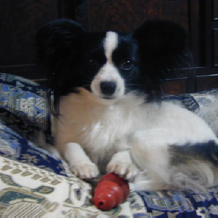 Dd2faba1 5b3e 458a bc70 878ef8465e1d