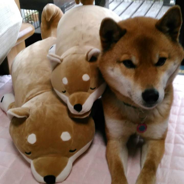 Dd31a9a3 bb5a 4d8d bd5c f0d08f5ec205