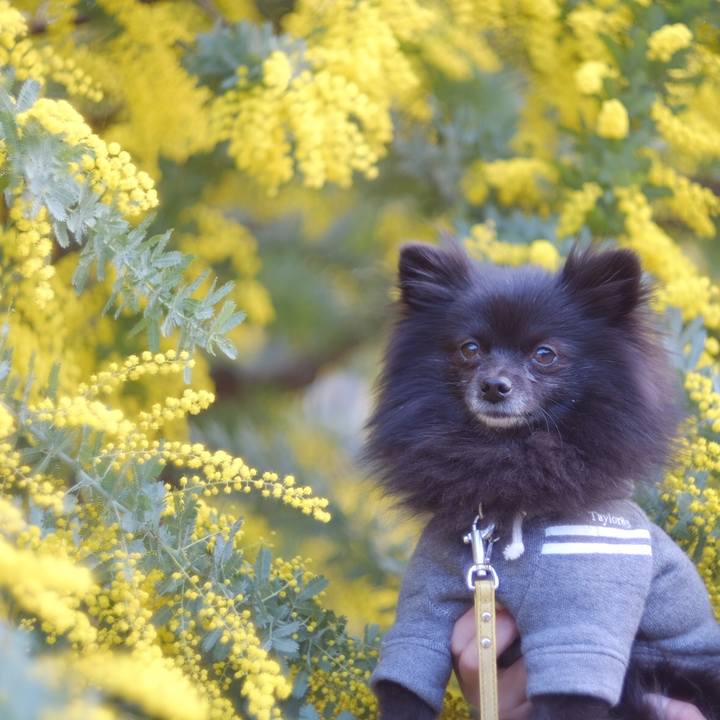 Dd31afbf 4c70 4325 93f0 0265aefa4026