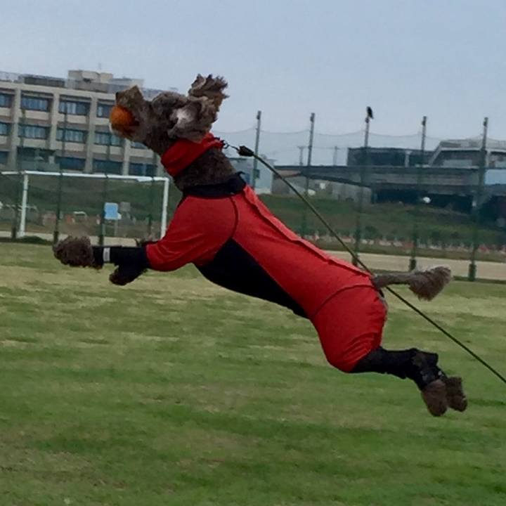 Dd322ba3 7463 4b17 a18a 874f4f730b11