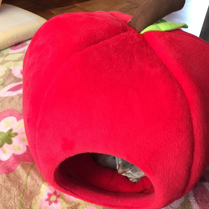 Dd322cab fd3d 4f8a b97f 1d447709d0f0