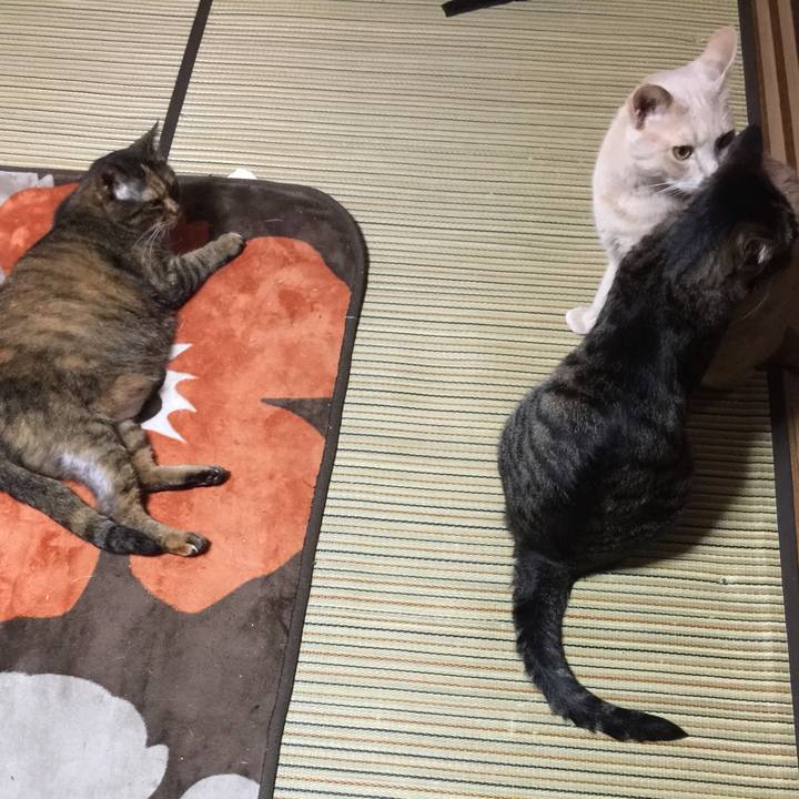 Dd322e33 4ab1 4c40 89e4 61cef676ba6f