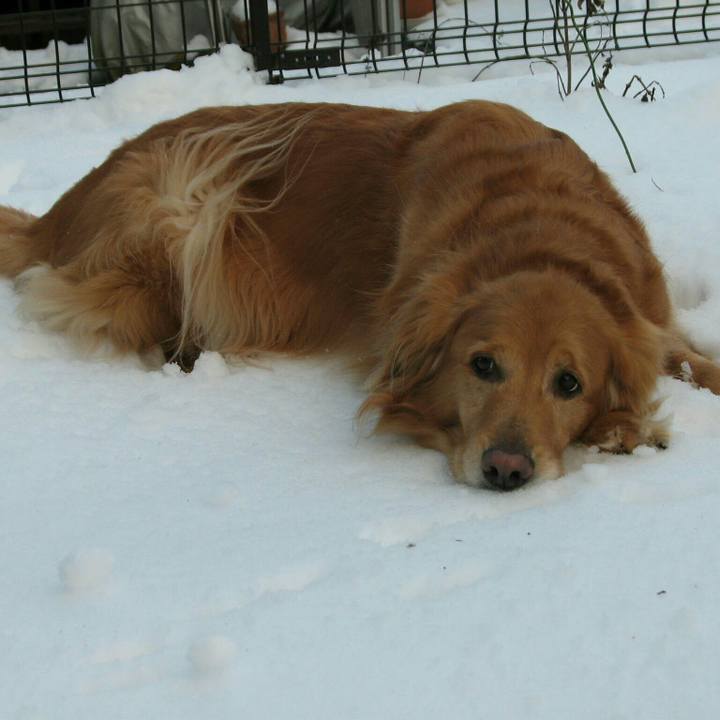 Dd3249be db8d 4e60 b3f8 8544fcd00ae3