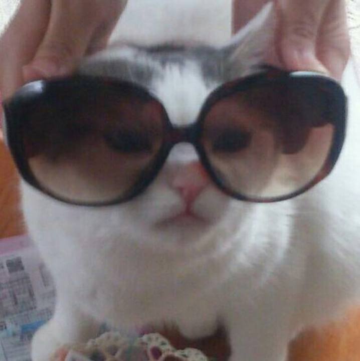 Dd329580 7606 4a1b a08c 503d34f23a14