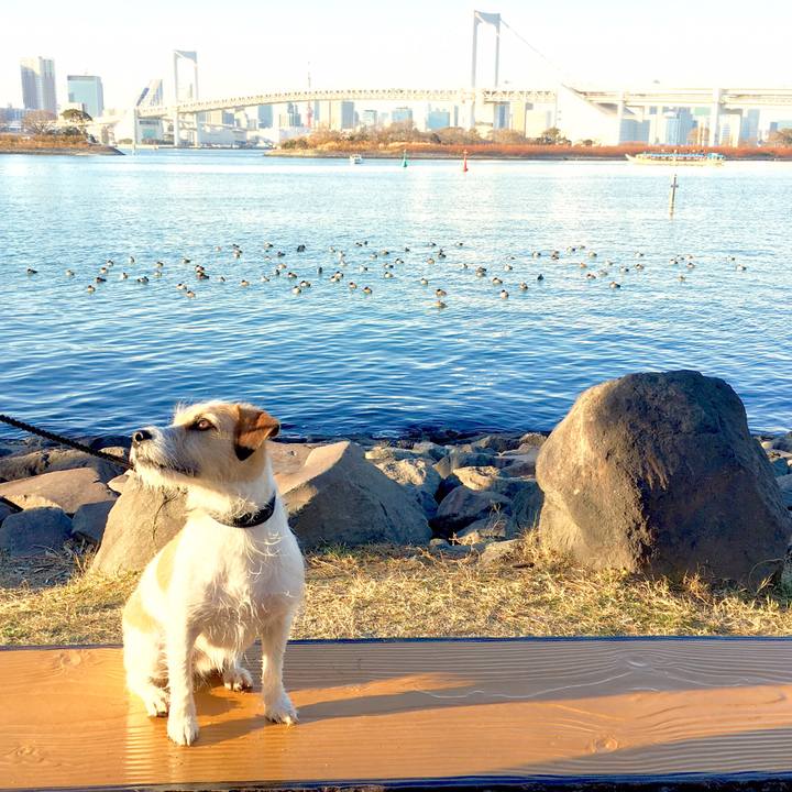 Dd32aba8 13f2 427c 8b5d f2a5e49aa296