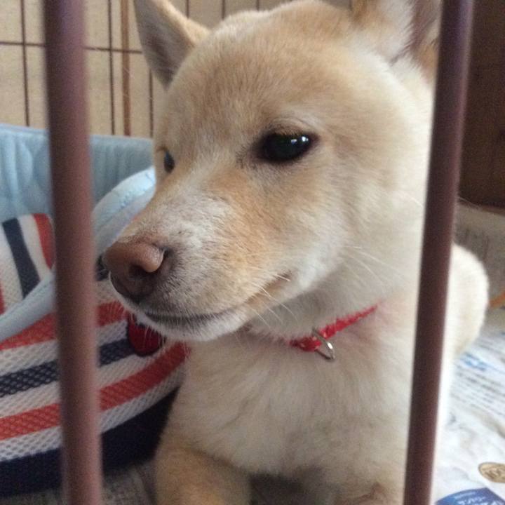 Dd32c476 219f 4d85 a3ae 18cfbfc03cb8