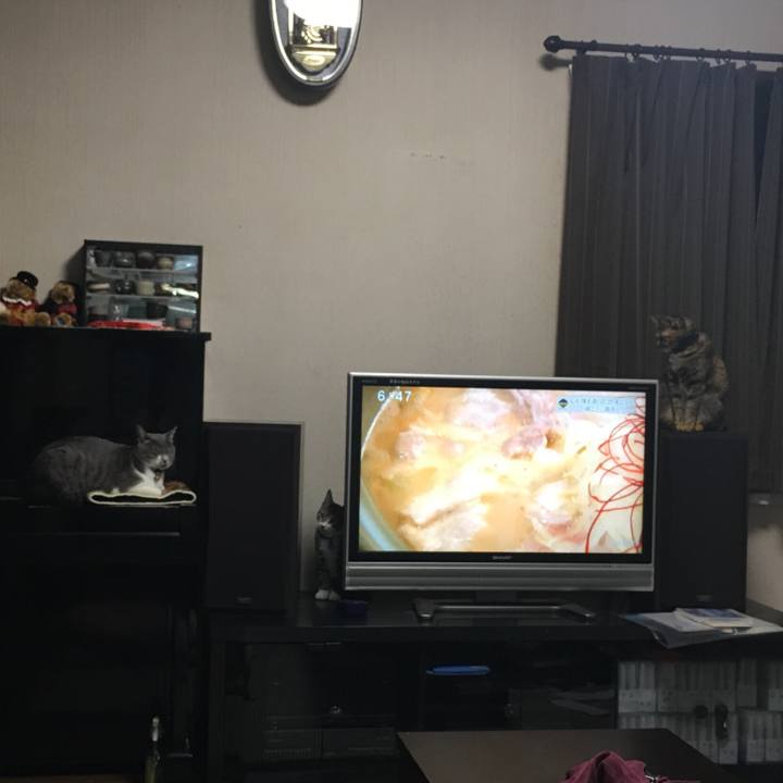 Dd336901 ff4e 4e13 afbd 121b3e741a08