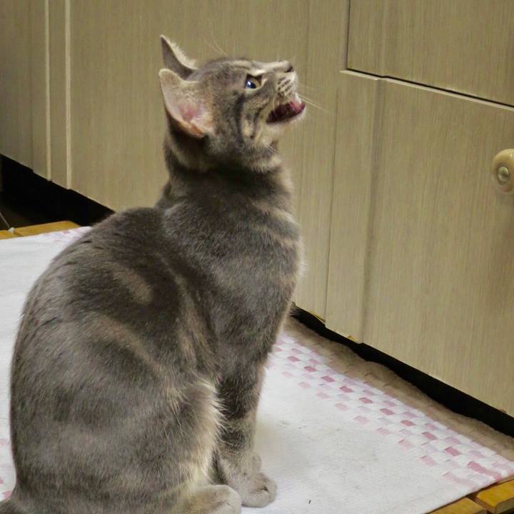 Dd33754e 19f2 4bdb b005 734358b27592