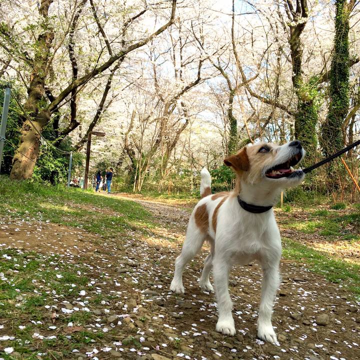 Dd339a0f ef44 4993 918d e8e3ef5424b1