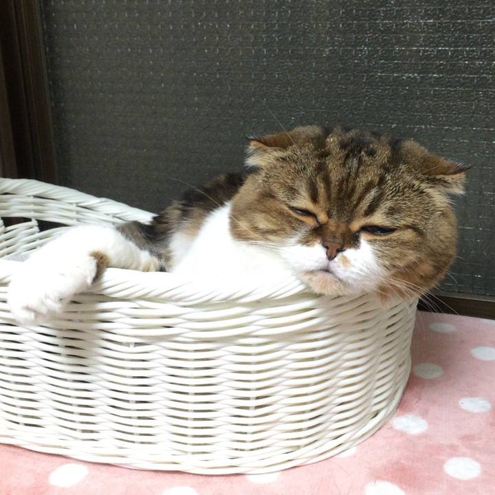 Dd33bd94 f8cd 4358 8241 ef1b876d7466