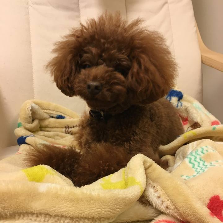 Dd345ae8 2b28 4840 9dee 88f70345fb6a