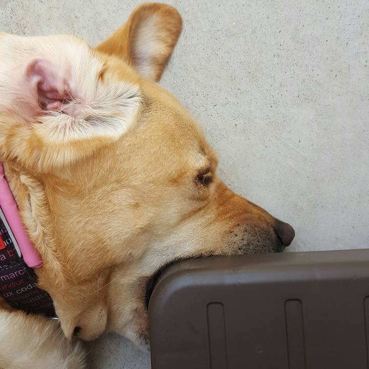 Dd34ebc9 02e5 475a a604 58291f39063b