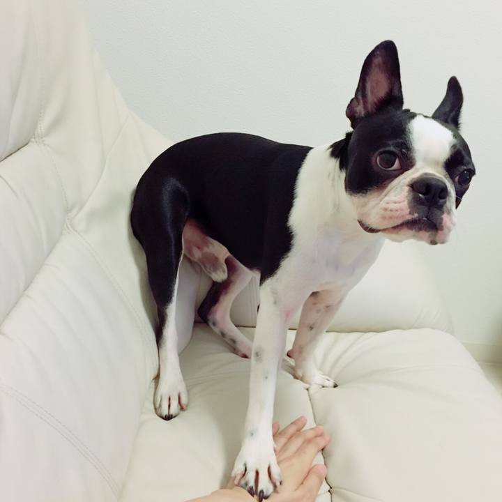 Dd3711fd 8da4 4edc 8499 16dbaf12b3d7