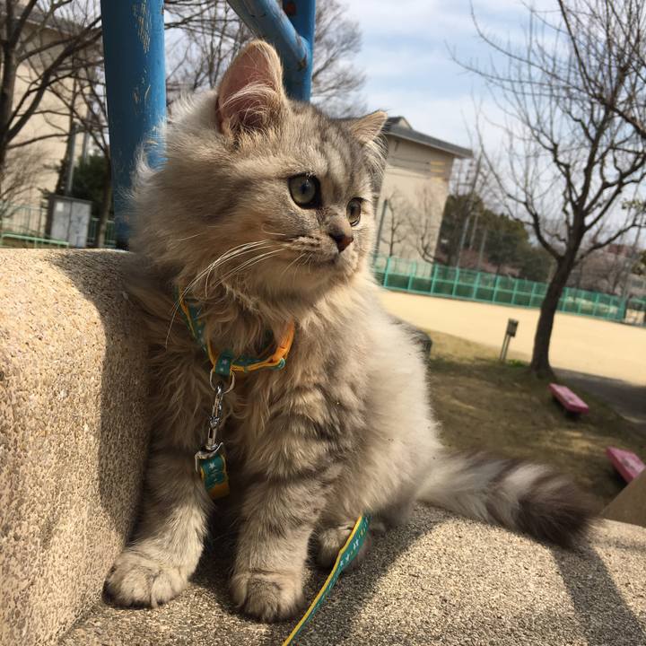 Dd37187e 4905 4eb9 86c3 65d3cb8296f2