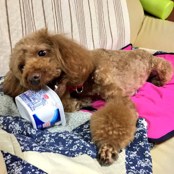 Dd373591 7f0d 46a8 be27 2a056660e1f2